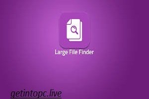 Large Files Finder 