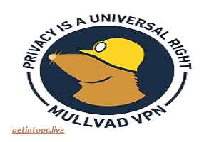 Mullvad VPN